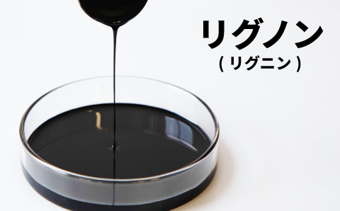 リグノン（リグニン）